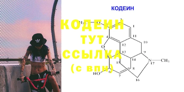 гашик Алзамай