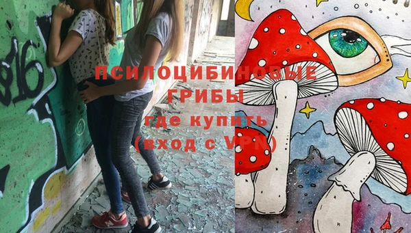 гидропоника Алексеевка